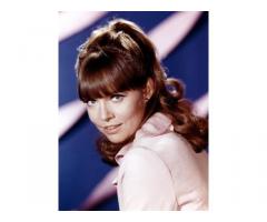 Get Smart  50 puntate telefilm anni 60
