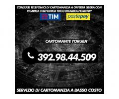•*´¨`*•.¸ Cartomante Yoruba' ¸.•*´¨`*•